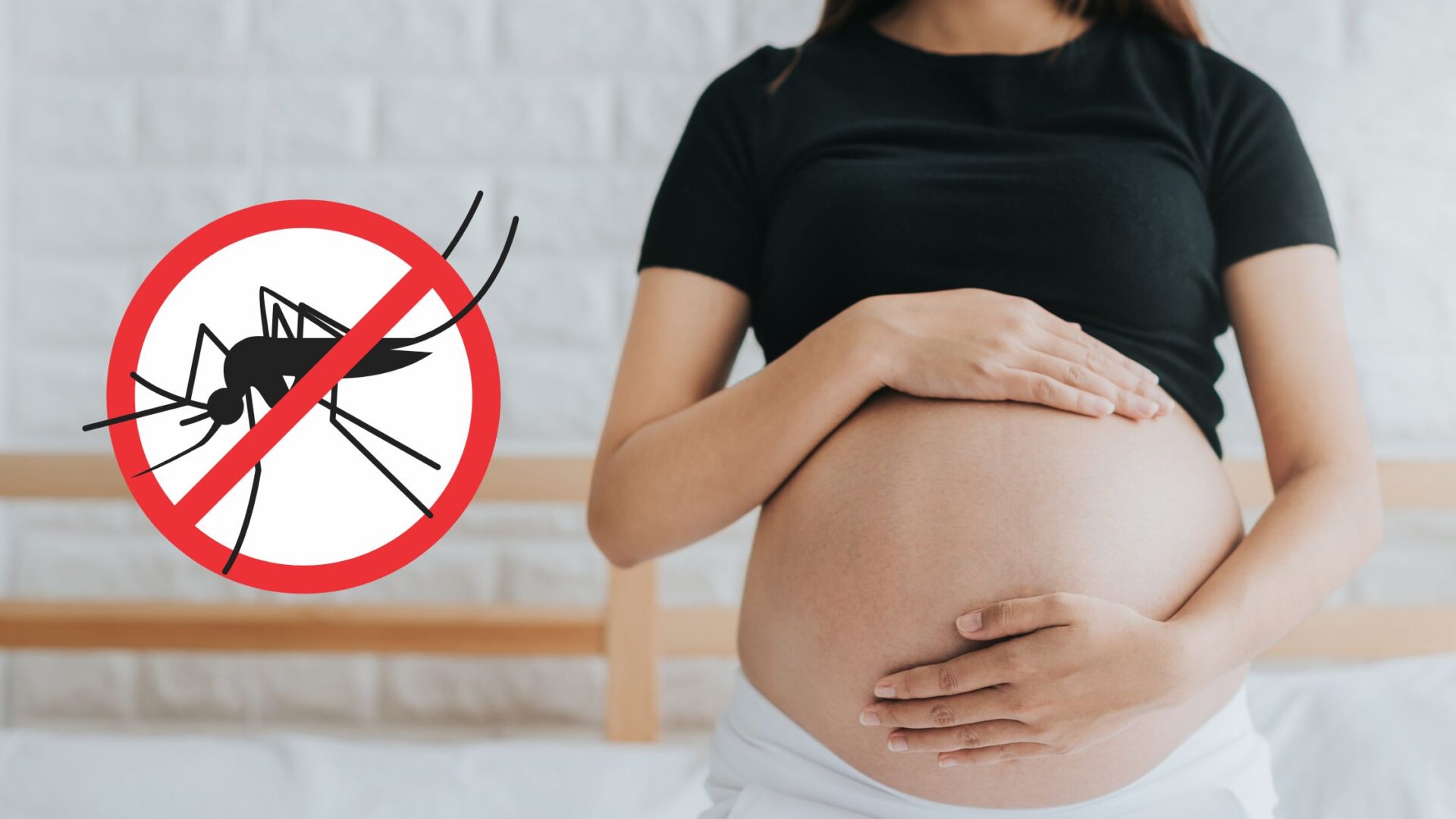 Dengue na Gravidez: Conhecendo e Gerenciando os Riscos