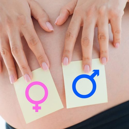 A Sexologia do bebê e o desenvolvimento da genitalidade fetal