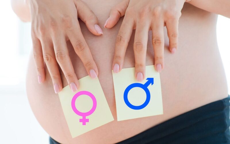 A Sexologia do bebê e o desenvolvimento da genitalidade fetal