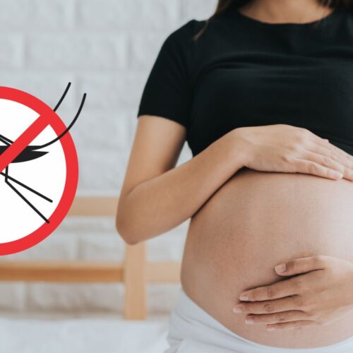 Dengue na Gravidez: Conhecendo e Gerenciando os Riscos