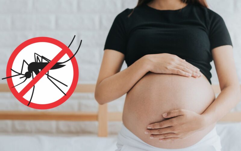 Dengue na Gravidez: Conhecendo e Gerenciando os Riscos